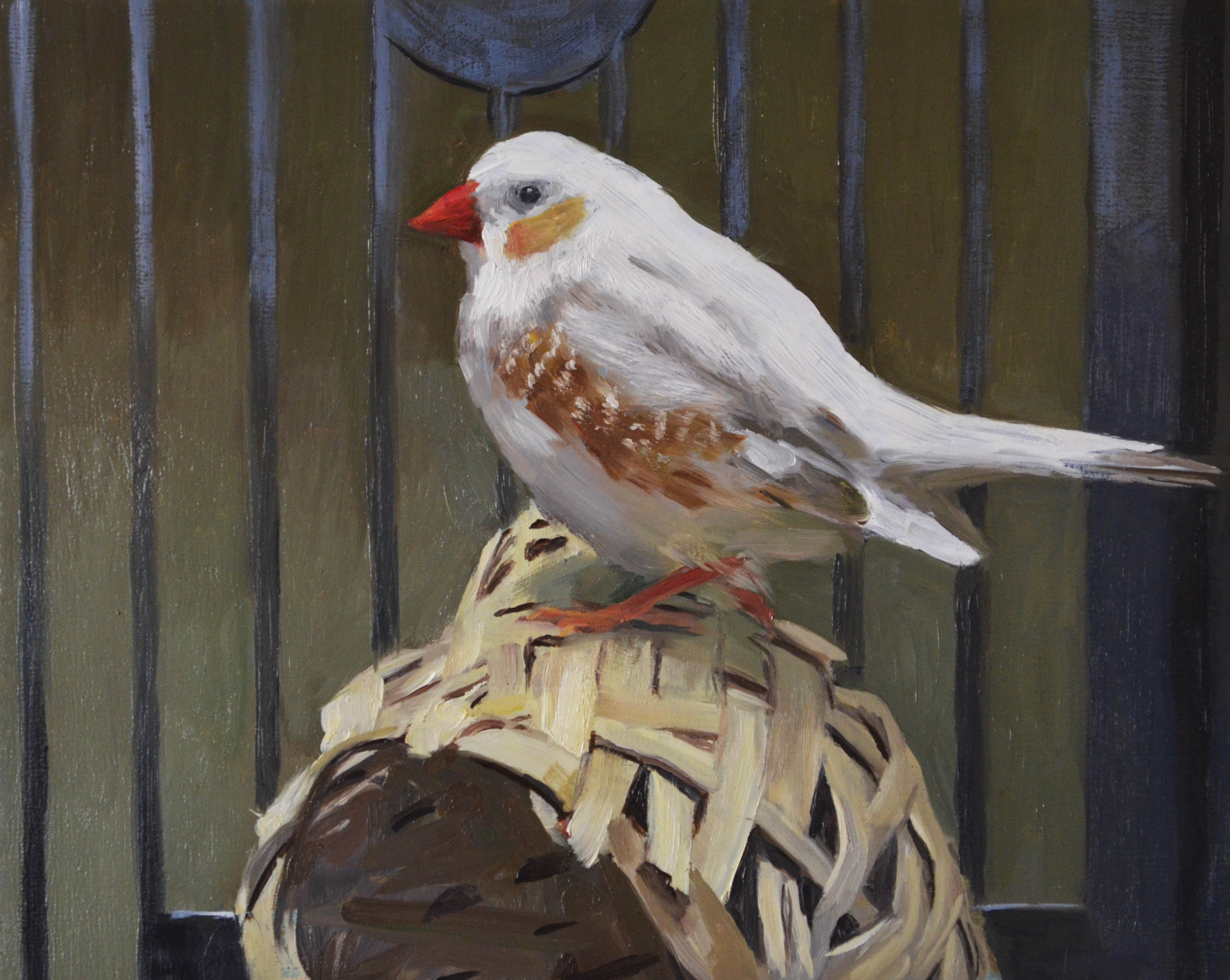 The Finch, oil on panel, 8" x 10", 2017.